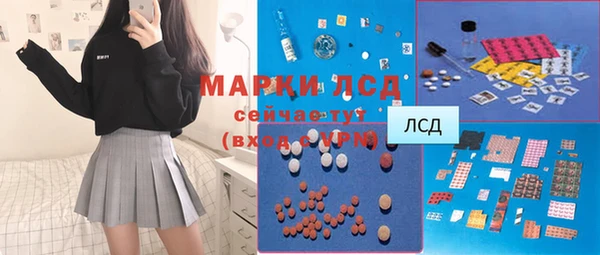 гашик Богданович