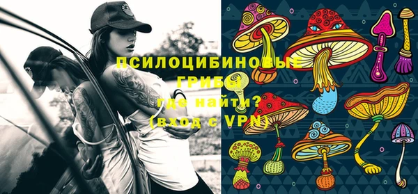 метамфетамин Богородицк
