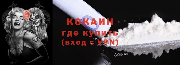гашик Богданович