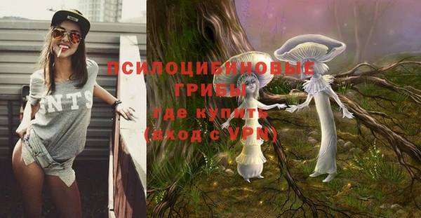 метамфетамин Богородицк