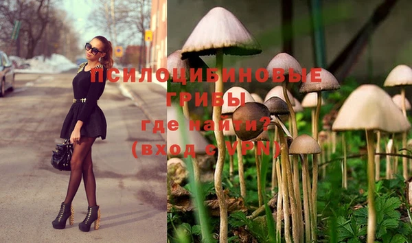 метамфетамин Богородицк