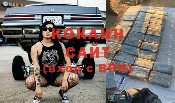 гашик Богданович