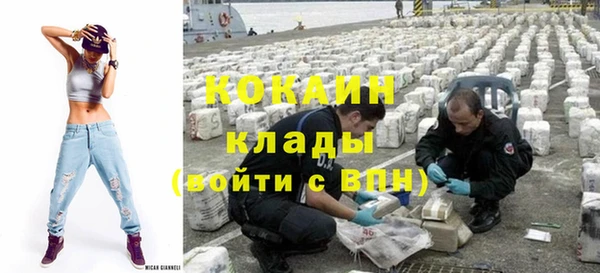 дживик Новозыбков