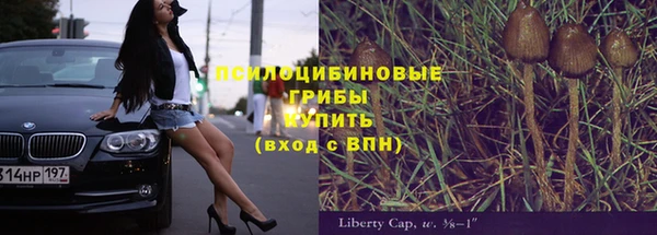 гашик Богданович