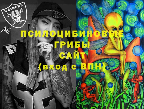 гашик Богданович