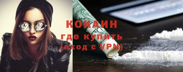 гашик Богданович