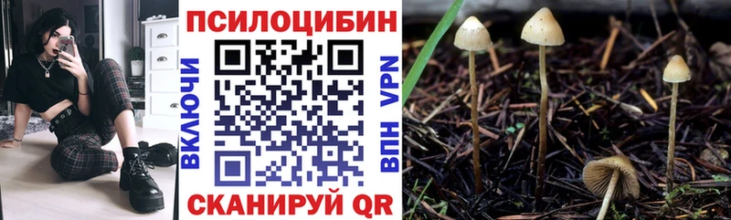 kraken ссылки  Кинешма  shop официальный сайт  Галлюциногенные грибы Magic Shrooms 